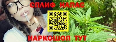 эйфоретик Малгобек