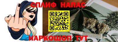 эйфоретик Малгобек